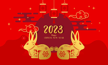 Year of the rabbit, holiday, Chinese New Year HD wallpaper