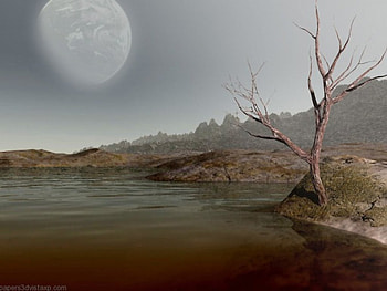 Dry Tree , nature, abstract, 3d HD wallpaper