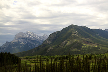Majestic Mountains at Banff Alberta, graphy, snow, green, trees, forests, mountains HD wallpaper