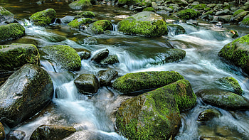 Algae Covered Stones Water Stream Pebbles Rocks Nature Background Nature HD wallpaper