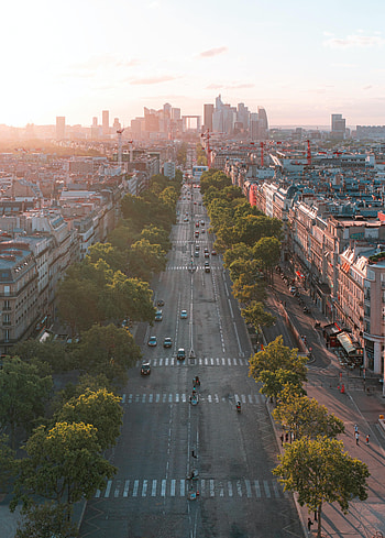 Cities, Trees, Architecture, City, Building, Road HD phone wallpaper