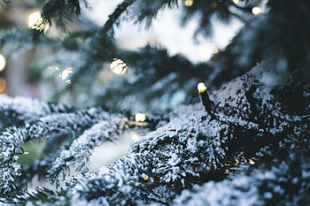 Holidays, Winter, New Year, Snow, Christmas Tree, Garland HD wallpaper