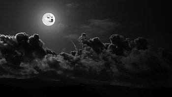 Dog, Dog Moon HD wallpaper