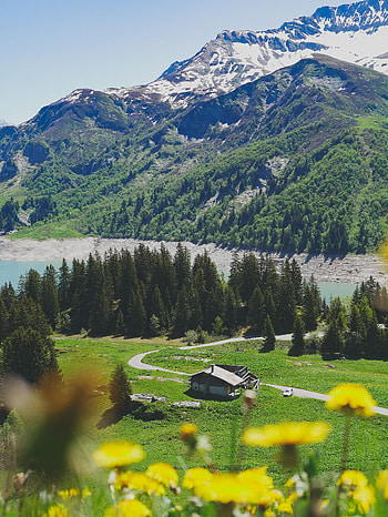 Landscape, Nature, Trees, Mountains, Vegetation HD phone wallpaper