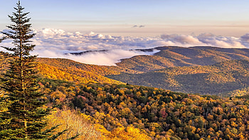 Blue Ridge parkway near Asheville, North Carolina, hills, trees, clouds, autumn, landscape, sky, usa HD wallpaper