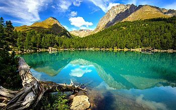 SILENT LAKE, landscape, forest, lake, mountain HD wallpaper
