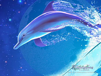 Fantasy Dolphin, 3d and cg, blue, abstract HD wallpaper