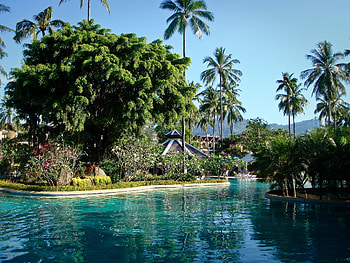 Landscape, Trees, Palms HD wallpaper