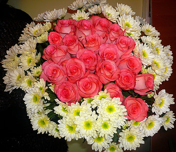 Flowers, Roses, Chrysanthemum, Bouquet HD wallpaper