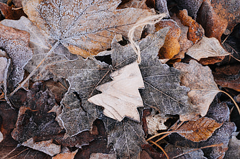 Leaves, Miscellanea, Miscellaneous, Wood, Wooden, Frost, Christmas Tree, Handmade, Craft HD wallpaper