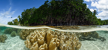 Study abroad, Solomon Islands, Educational opportunity, Cultural immersion HD wallpaper