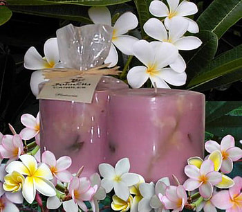 candle, plumeria, egzotic, tropical, flower HD wallpaper