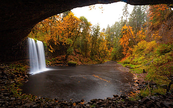 Beaver Falls in Clatskanie, Oregon, river, leaves, fall, bridge, trees, colors, forest, usa HD wallpaper