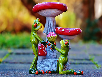 ℱroℊℊys Ẉℯddinℊ ℙroposaℓ , Funny, Froggy, Wedding, Proposal, Frogs HD wallpaper
