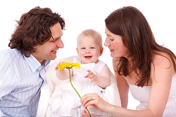 A joyful family moment with parents and baby holding a flower. HD wallpaper