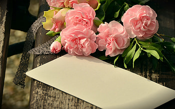 Have a lovely day!, garoafe, pink, white, wood, carnation, flower, card, claveles HD wallpaper