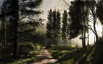 Drawing, Artistic, Forest, Evening, Path, Sunbeam, Tree HD wallpaper