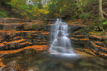 Nature, Trees, Stones, Leaves, Waterfall HD wallpaper