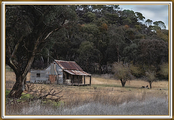OLD HOUSE... AUSTRALIA, HOUSE, OLD, , BUILDING HD wallpaper