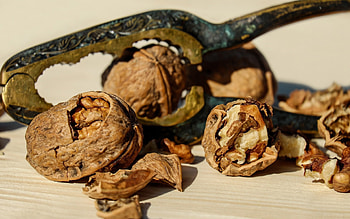Walnuts, Fruits and snacks, collection, MacBook Pro indulgence HD wallpaper