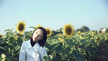 Zhou-Dongyu, Asian, women, Dongyu, Zhou HD wallpaper