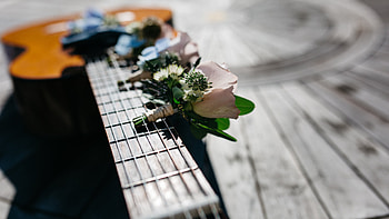 Music, Flowers, Bouquet, Guitar HD wallpaper