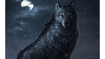 Animated Wolf - - 470392 HD wallpaper