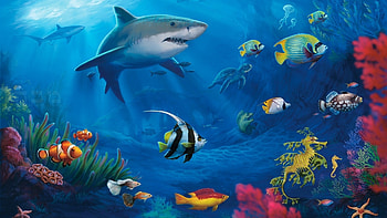 Explore Live For Pc, For Pc, and more! HD wallpaper