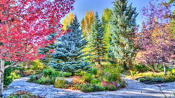 Colorado Park in R, Parks, Nature, Trees, Fall Season HD wallpaper