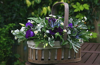 Flowers, Camomile, Greens, Table, Basket, Lisianthus Russell, Lisiantus Russell HD wallpaper