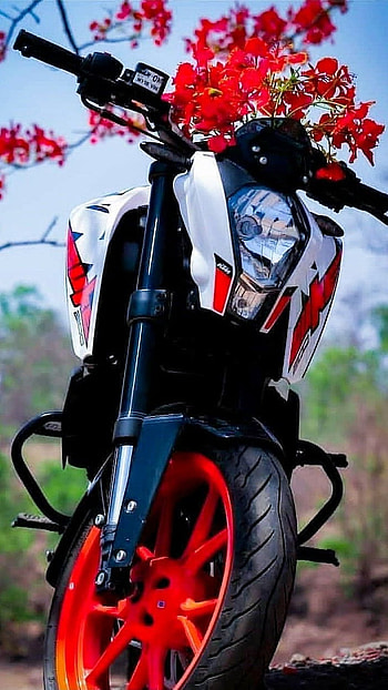Ktm, beautiful , beautiful HD phone wallpaper
