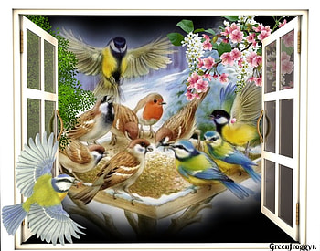 little birds, natur, birds, window, animals HD wallpaper