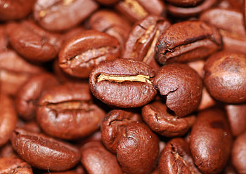 Coffee, Macro, Coffee Beans HD wallpaper