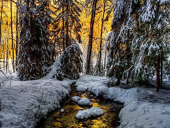 Golden sunrise, river, winter, golden, creek, beautiful, sunrise, snow, trees, nature, forest HD wallpaper