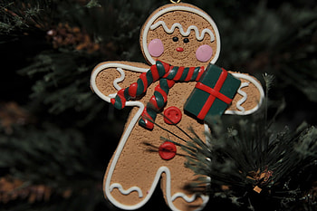 Christmas time, cookie, ornament, christmas, tree HD wallpaper