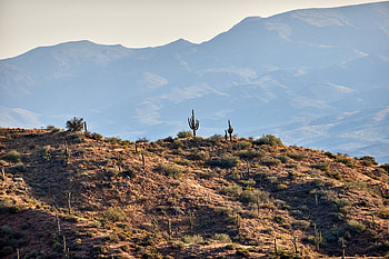 Nature, Cactuses, Mountains, Rocks, Prairie, Hills HD wallpaper