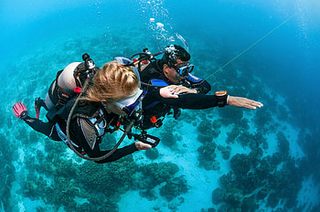 Ocean turtle diving, Scuba diving center, Dive excursions, Underwater exploration HD wallpaper