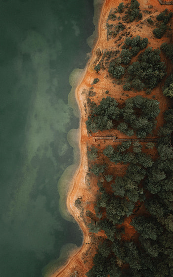 Nature, Trees, Beach, View From Above, Coast HD phone wallpaper