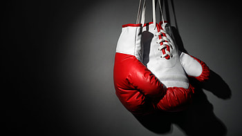 Boxing, Boxing martial art, Boxing gloves, Gray background HD wallpaper