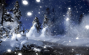 Landscape, Trees, Night, Snow HD wallpaper