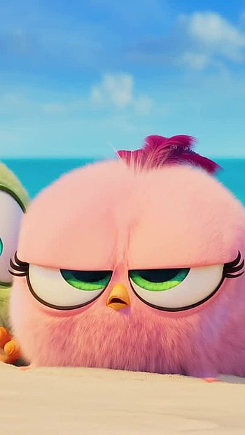 Angry Birds, Pink Birds HD phone wallpaper