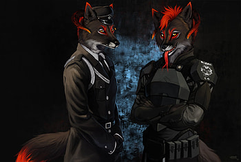 foxes, abtarct, wolves, red, suite HD wallpaper