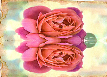 Double Up, flowers, roses, art HD wallpaper