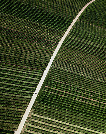 Nature, Road, Field, Stripes, Streaks, Plantation HD phone wallpaper