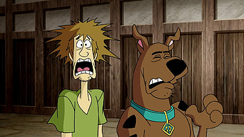 Chill Out Scooby Doo, out, doo, scooby, chill HD wallpaper