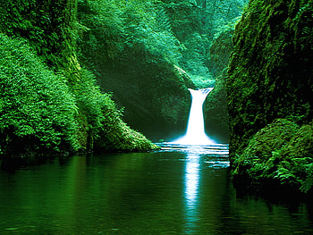 forest waterfall, green, waterfall, nature, water, forest HD wallpaper