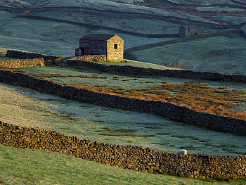 landscape, house HD wallpaper