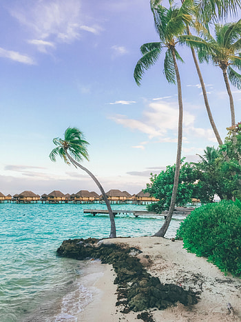 Tahiti luxury resort, World of wanderlust, Bora Bora alternative, Forget Bora Bora HD phone wallpaper