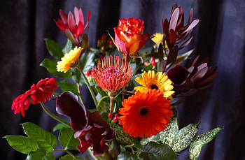 Flowers, Leaves, Gerberas, Rose Flower, Rose, Bouquet, Calla, Composition, Callas HD wallpaper