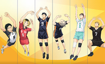 Haikyū!! Quad — Ace Lineup, Anime, Haikyū!! HD wallpaper